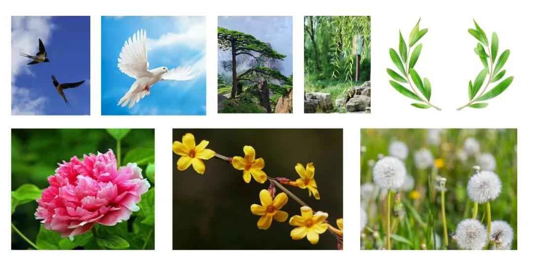 1645089248339804.jpg 1645089248339804.jpg